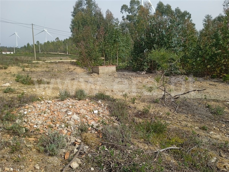 Terreno Rústico  Castelo Branco, Retaxo - 1315694 - 5