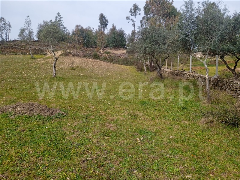 Terreno Rústico  Castelo Branco, Retaxo - 1315694 - 10