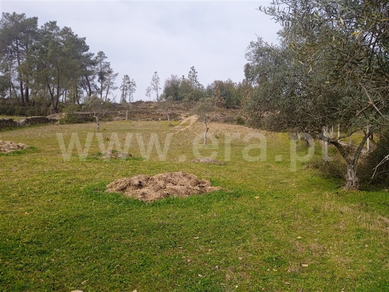 Terreno Rústico  Castelo Branco, Retaxo - 1315694 - 11