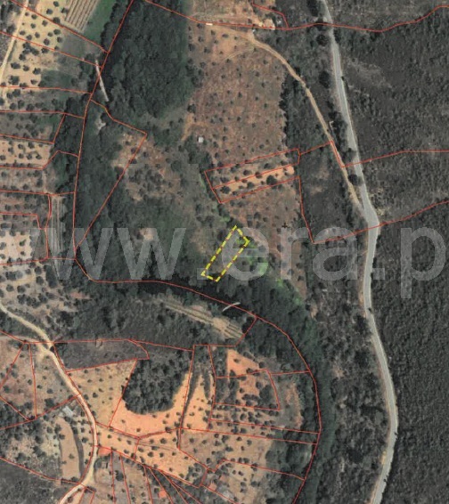 Terreno Rústico / Castelo Branco, Sarzedas