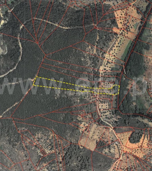 Terreno Rústico / Castelo Branco, Sarzedas