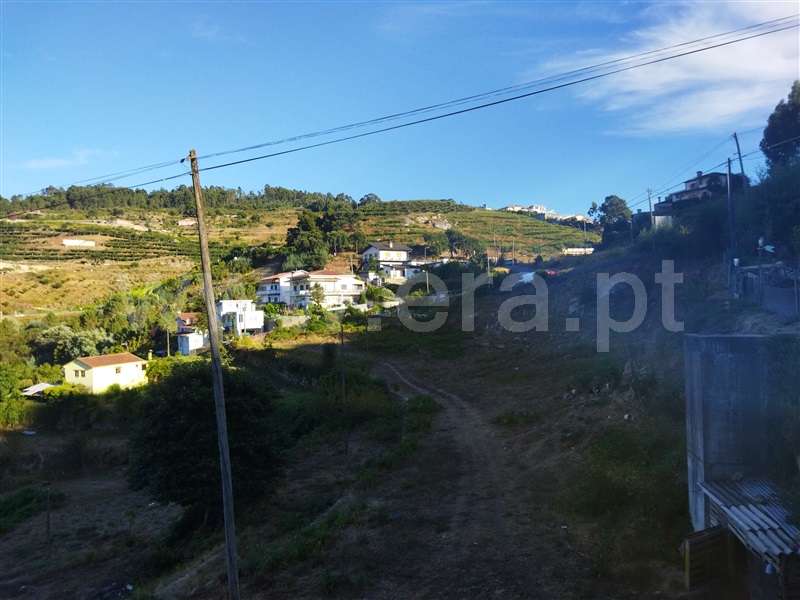 Terreno Rústico  Castelo de Paiva, São Martinho de Sardoura - 1427063 - 1