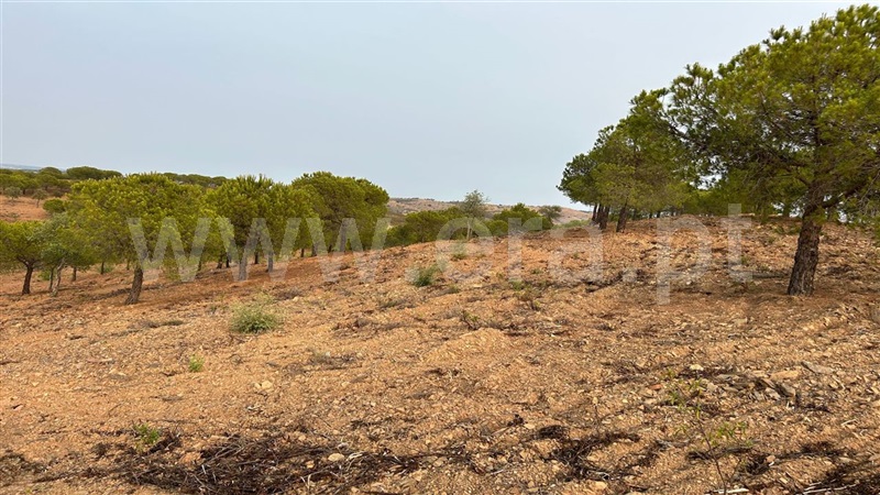 Terreno Rústico  Castro Marim, Azinhal - 1333176 - 3