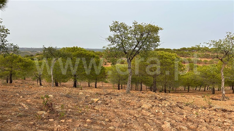 Terreno Rústico  Castro Marim, Azinhal - 1333176 - 5