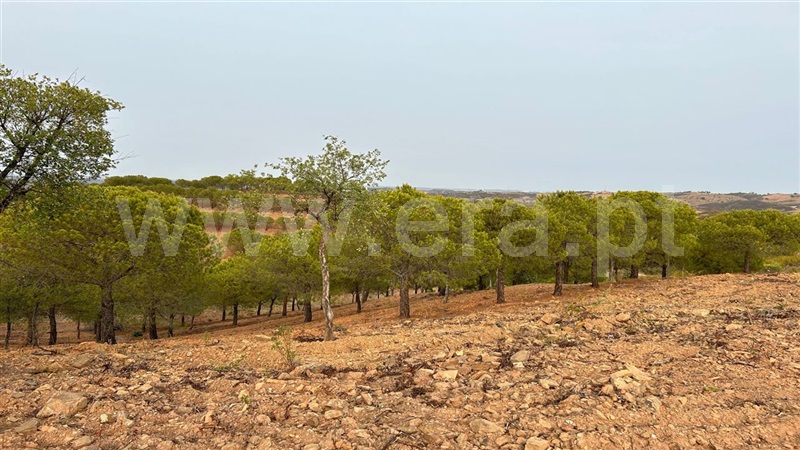 Terreno Rústico  Castro Marim, Azinhal - 1333176 - 6