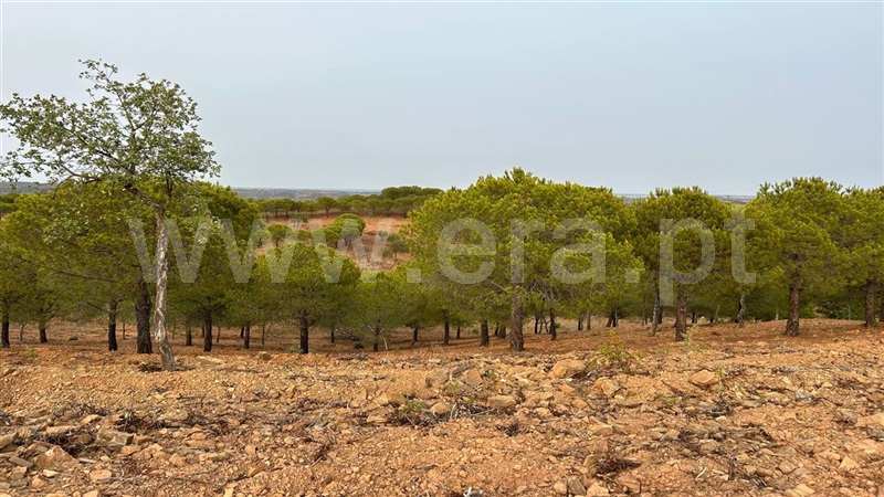 Terreno Rústico  Castro Marim, Azinhal - 1333176 - 7