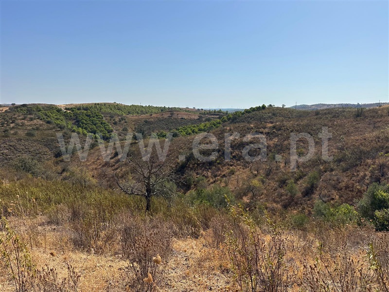 Terreno Rústico  Castro Marim, Azinhal - 1504923 - 1