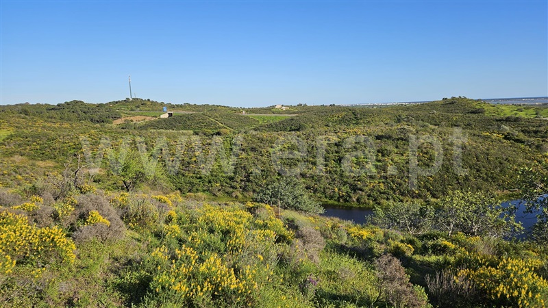 Terreno Rústico  Castro Marim, Castro Marim - 1383470 - 8