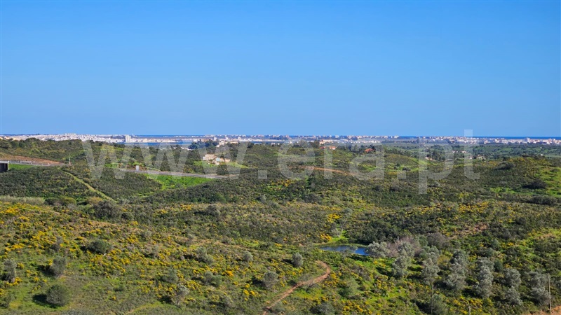 Terreno Rústico / Castro Marim, Castro Marim