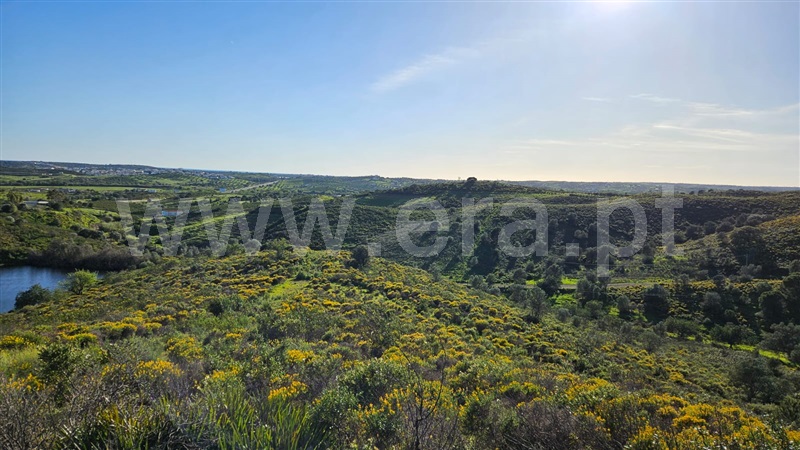 Terreno Rústico  Castro Marim, Castro Marim - 1383470 - 12