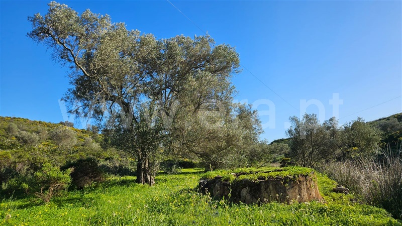 Terreno Rústico  Castro Marim, Castro Marim - 1383470 - 15