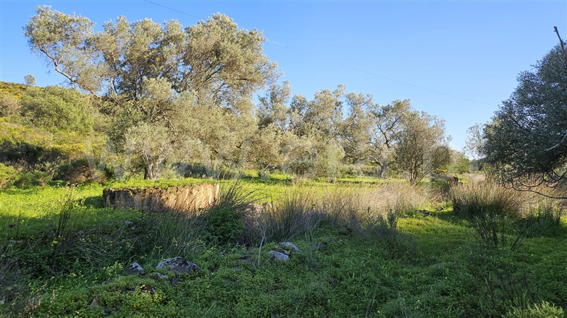 Terreno Rústico  Castro Marim, Castro Marim - 1383470 - 16