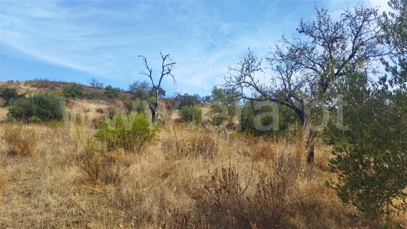 Terreno Rústico  Castro Marim, Odeleite - 1503898 - 11