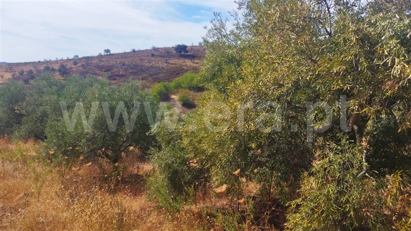 Terreno Rústico  Castro Marim, Odeleite - 1503898 - 13