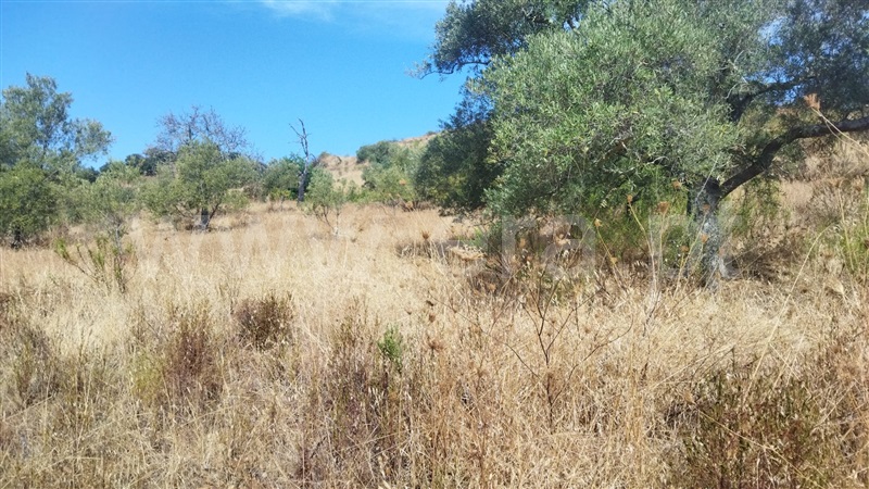 Terreno Rústico  Castro Marim, Odeleite - 1503898 - 14
