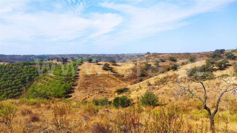 Terreno Rústico / Castro Marim, Odeleite