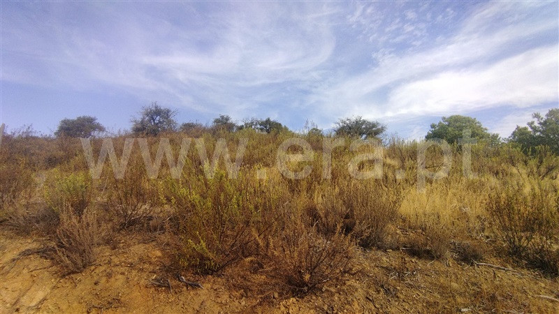 Terreno Rústico  Castro Marim, Odeleite - 1503898 - 22