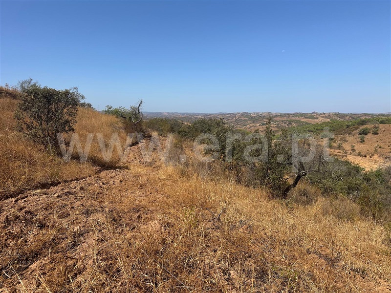 Terreno Rústico  Castro Marim, Quebradas - 1490589 - 4