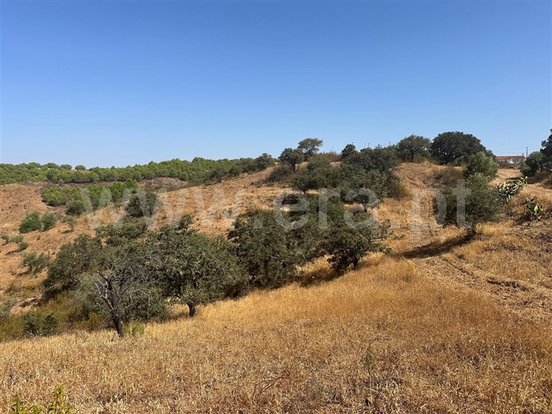 Terreno Rústico  Castro Marim, Quebradas - 1490589 - 5