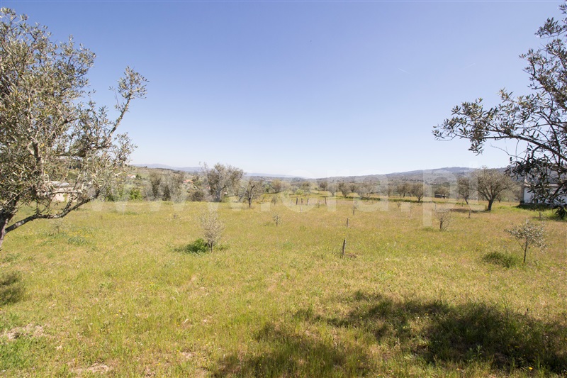 Quinta  Celorico da Beira, Carrapichana - 1241430 - 3