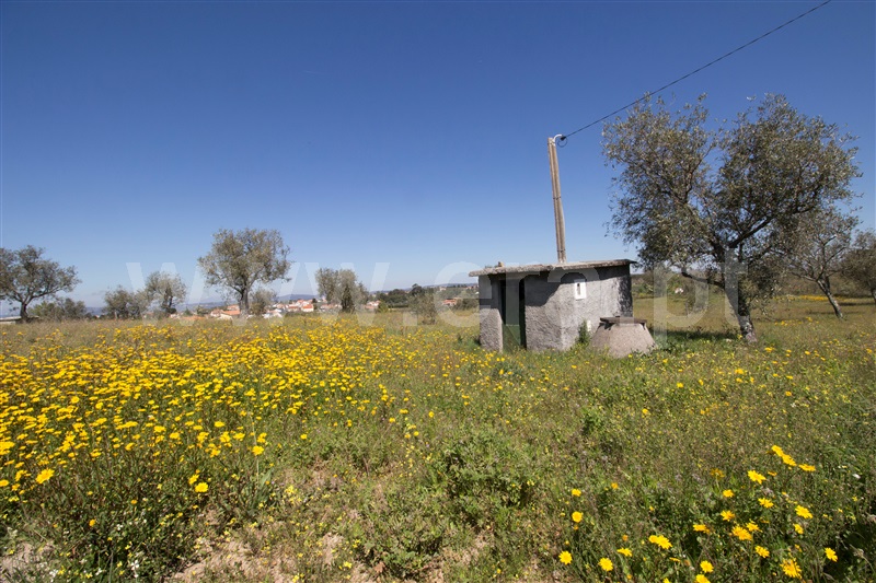 Quinta  Celorico da Beira, Carrapichana - 1241430 - 5