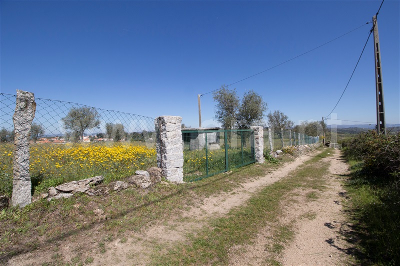 Quinta  Celorico da Beira, Carrapichana - 1241430 - 6