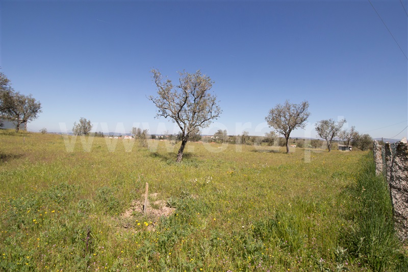 Quinta  Celorico da Beira, Carrapichana - 1241430 - 8