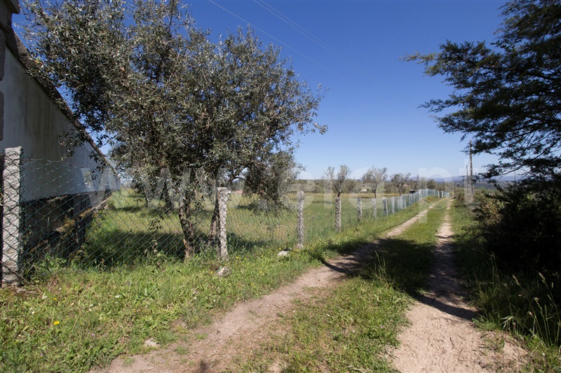 Quinta  Celorico da Beira, Carrapichana - 1241430 - 9