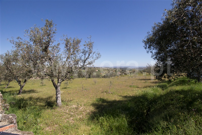 Quinta  Celorico da Beira, Carrapichana - 1241430 - 10
