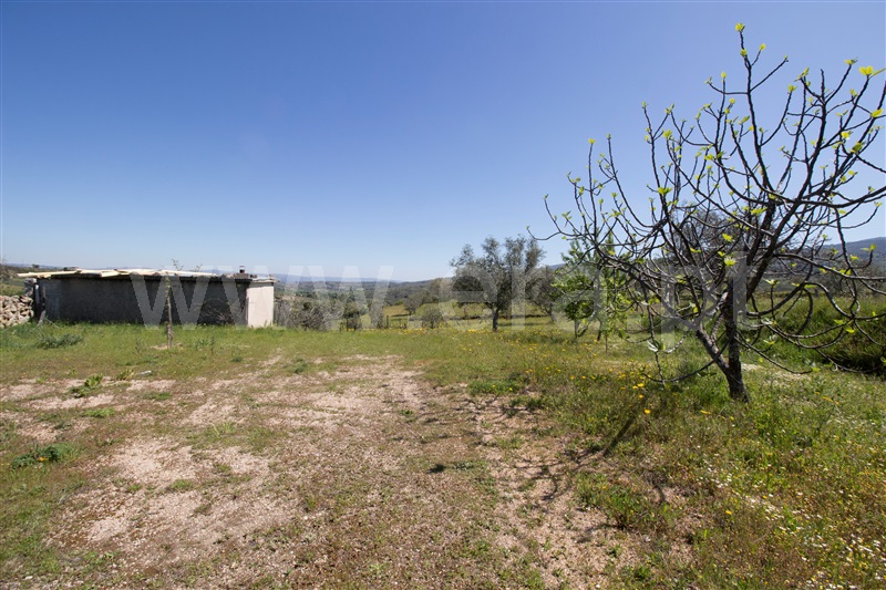 Quinta  Celorico da Beira, Carrapichana - 1241430 - 12