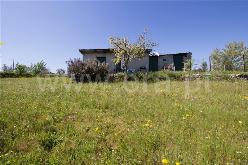 Quinta  Celorico da Beira, Carrapichana - 1241430 - 14
