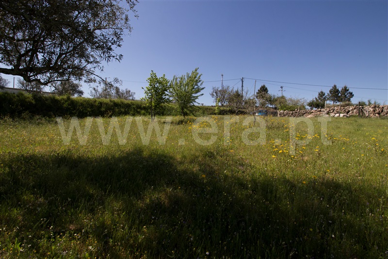 Quinta  Celorico da Beira, Carrapichana - 1241430 - 15