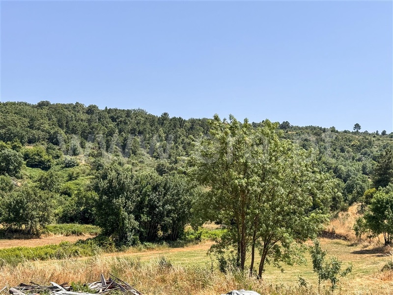 Terreno Rústico  Celorico da Beira, Cortiço da Serra - 1483493 - 3