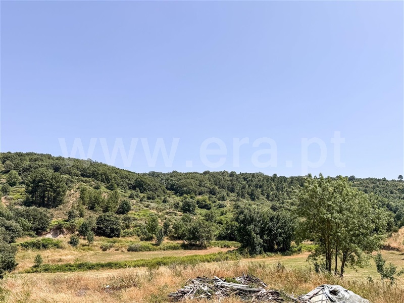 Terreno Rústico  Celorico da Beira, Cortiço da Serra - 1483493 - 4