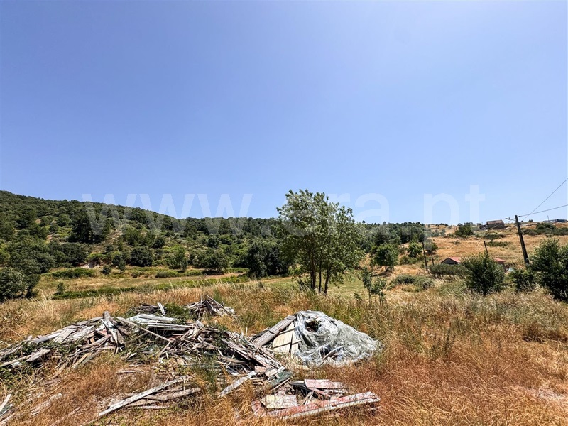 Terreno Rústico  Celorico da Beira, Cortiço da Serra - 1483493 - 5