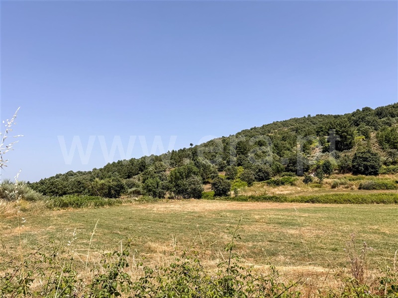 Terreno Rústico  Celorico da Beira, Cortiço da Serra - 1483493 - 7