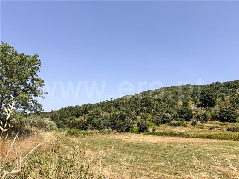 Terreno Rústico  Celorico da Beira, Cortiço da Serra - 1483493 - 8