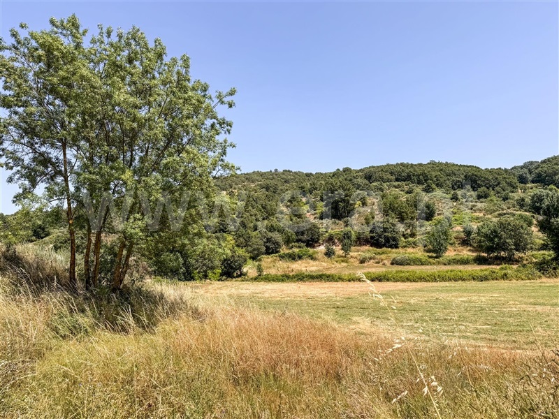 Terreno Rústico  Celorico da Beira, Cortiço da Serra - 1483493 - 9