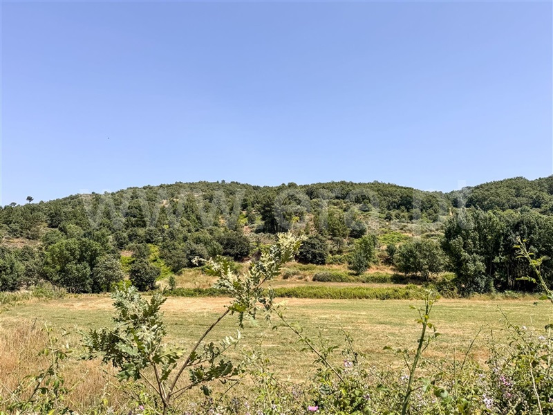 Terreno Rústico  Celorico da Beira, Cortiço da Serra - 1483493 - 10