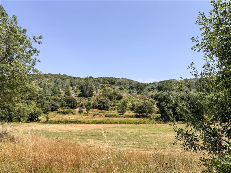 Terreno Rústico  Celorico da Beira, Cortiço da Serra - 1483493 - 11