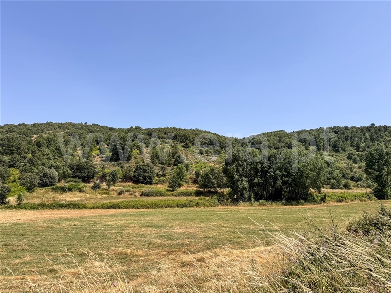 Terreno Rústico  Celorico da Beira, Cortiço da Serra - 1483493 - 12