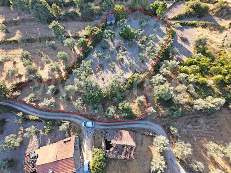 Terreno Rústico / Celorico da Beira, Vale de Azares, Celorico da Beira
