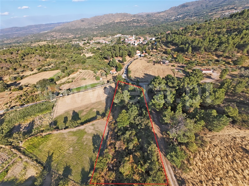 Terreno Rústico / Celorico da Beira, Vale de Azares, Celorico da Beira