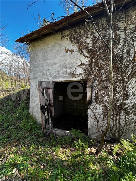 Terreno Rústico  Cabeceiras de Basto - 1500511 - 13