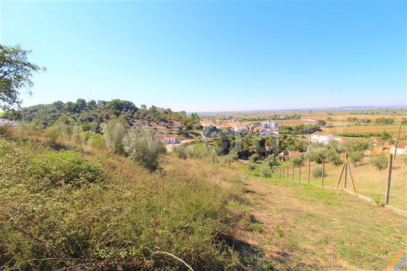 Terreno Rústico  Chamusca, Chamusca e Pinheiro Grande - 1205742 - 14