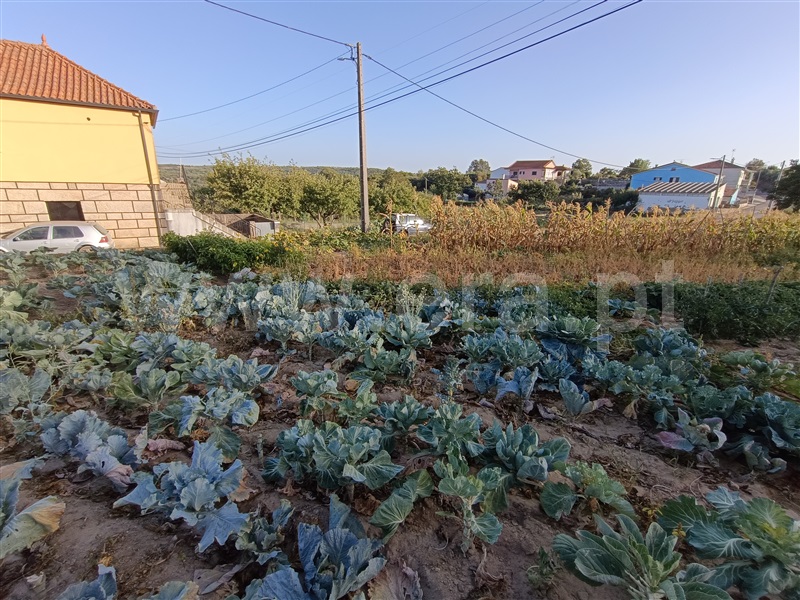 Terreno  Chaves, Argemil - 1351522 - 3