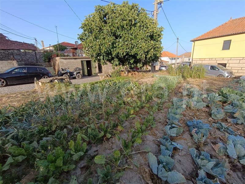 Terreno  Chaves, Argemil - 1351522 - 4