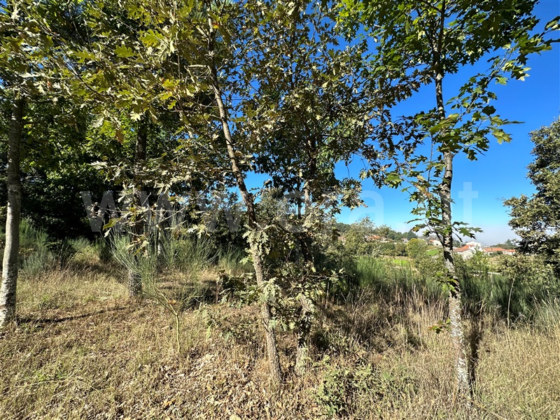 Terreno Rústico  Chaves, Eiras, São Julião de Montenegro e Cela - 1358001 - 2