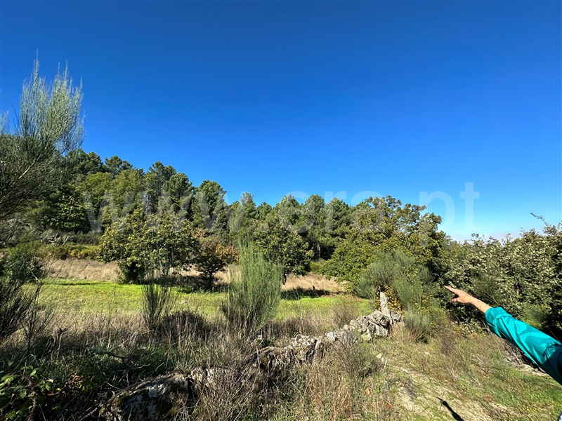 Terreno Rústico  Chaves, Eiras, São Julião de Montenegro e Cela - 1358001 - 7