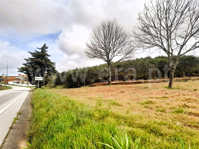 Terreno Rústico / Chaves, Eiras, São Julião de Montenegro e Cela